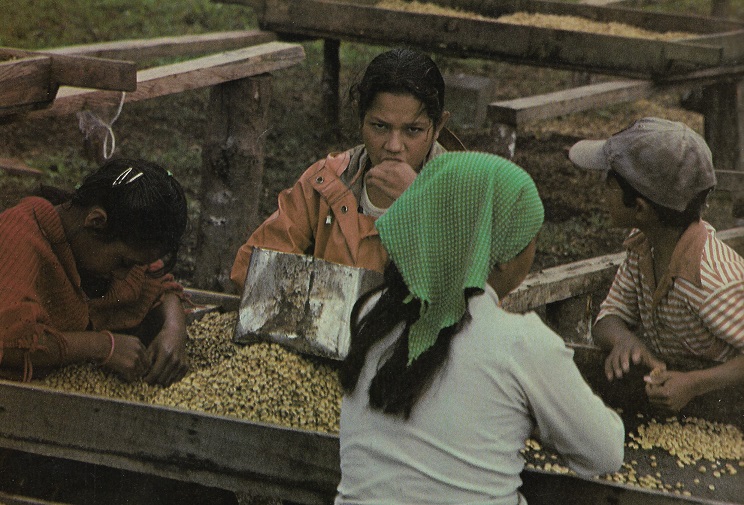 Όταν η ΚΝΕ μάζευε καφέ στο πλευρό των Σαντινίστας στη Νικαράγουα 