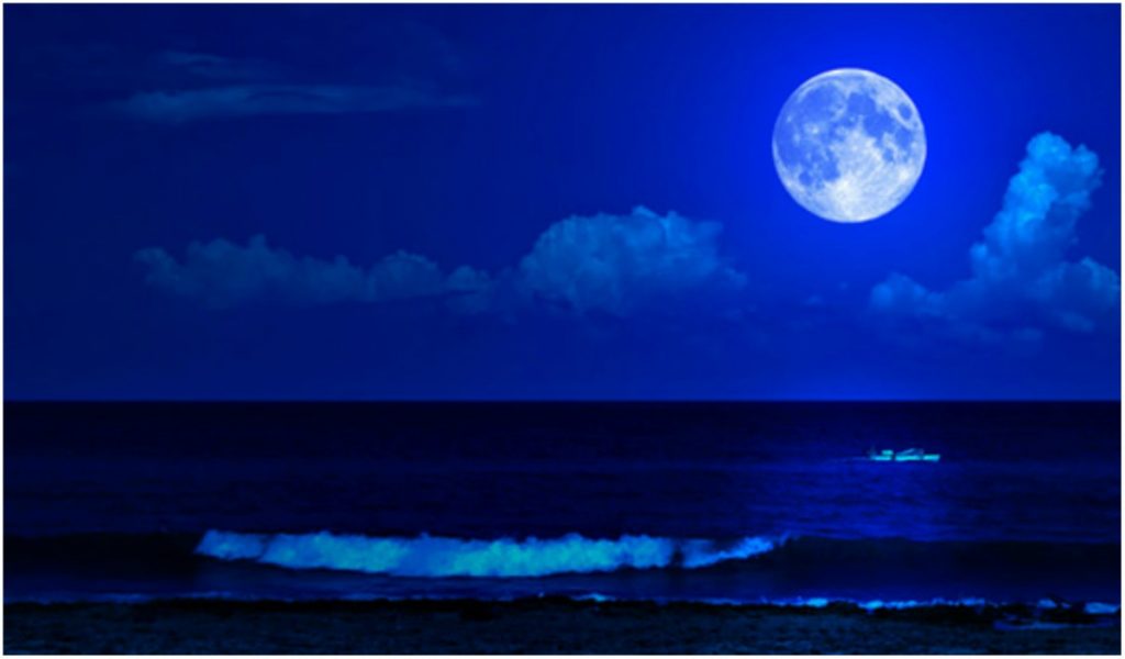 Τα Blue Moon νέα