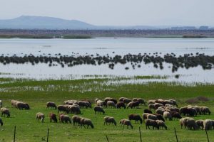 Σαν πας μια κυριακάτικη βόλτα, μην αναλύεις το Κεφάλαιο του Μαρξ!