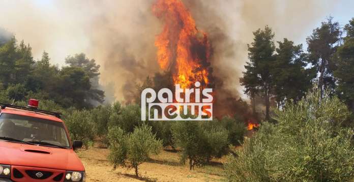 Αμαλιάδα: Μεγάλη πυρκαγιά σε εξέλιξη στη Δαφνιώτισσα – Εκκενώνεται το χωριό (PHOTOS)