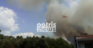 Αμαλιάδα: Μεγάλη πυρκαγιά σε εξέλιξη στη Δαφνιώτισσα – Εκκενώνεται το χωριό (PHOTOS)