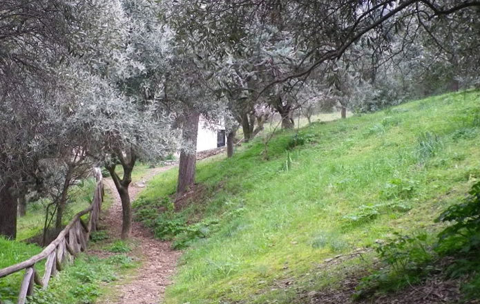 Το Δημοτικό Συμβούλιο Ηλιούπολης και οι αντιπεριβαλλοντικοί – αντιλαϊκοί σχεδιασμοί στον Υμηττό