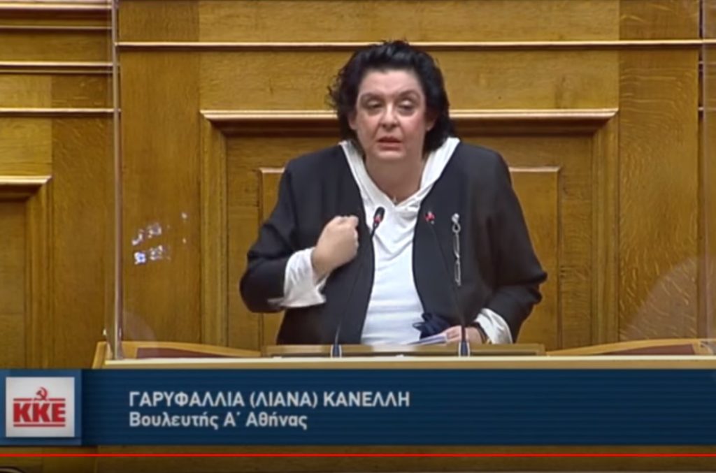 Λιάνα Κανέλλη: Χρειάζονται μόνιμες κρατικές δομές για τους ανάπηρους (ΒΙΝΤΕΟ)