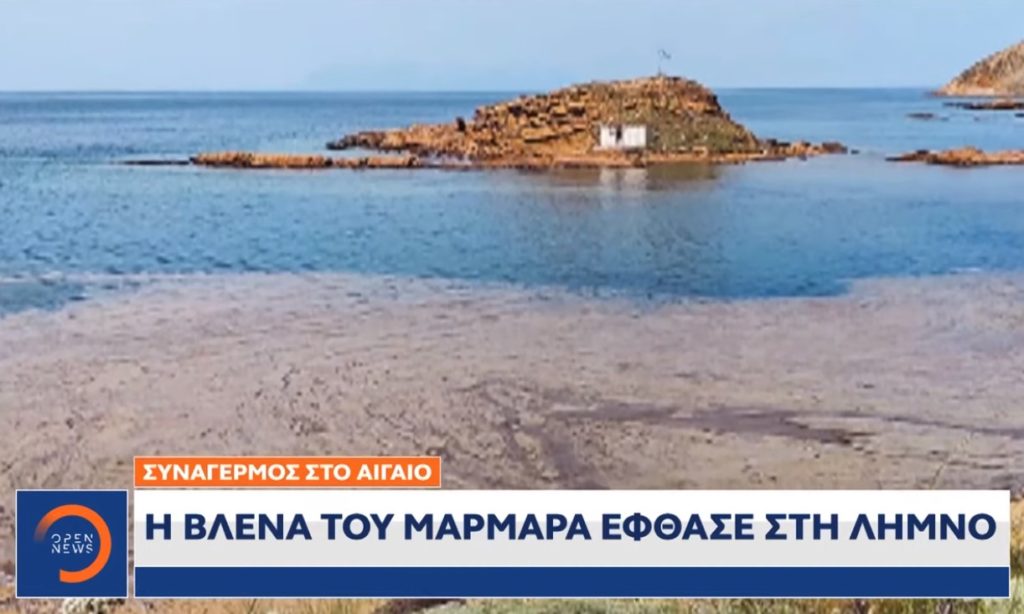 Είναι απαράδεκτο να περιμένουμε πότε θα φυσήξει το αεράκι για να απομακρύνει τη βλέννα από τις ακτές της Λήμνου